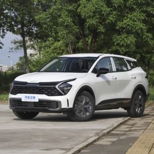 Lion Bo Tuojie 2025 2.0LHEV 2WD flagship version