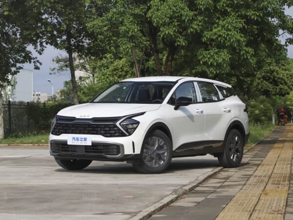 Lion Bo Tuojie 2025 2.0LHEV 2WD flagship version