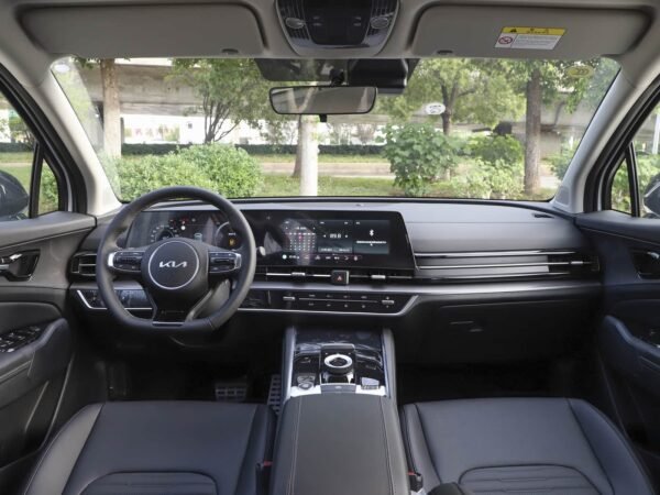 Lion Bo Tuojie 2025 2.0LHEV 2WD flagship version - Image 3